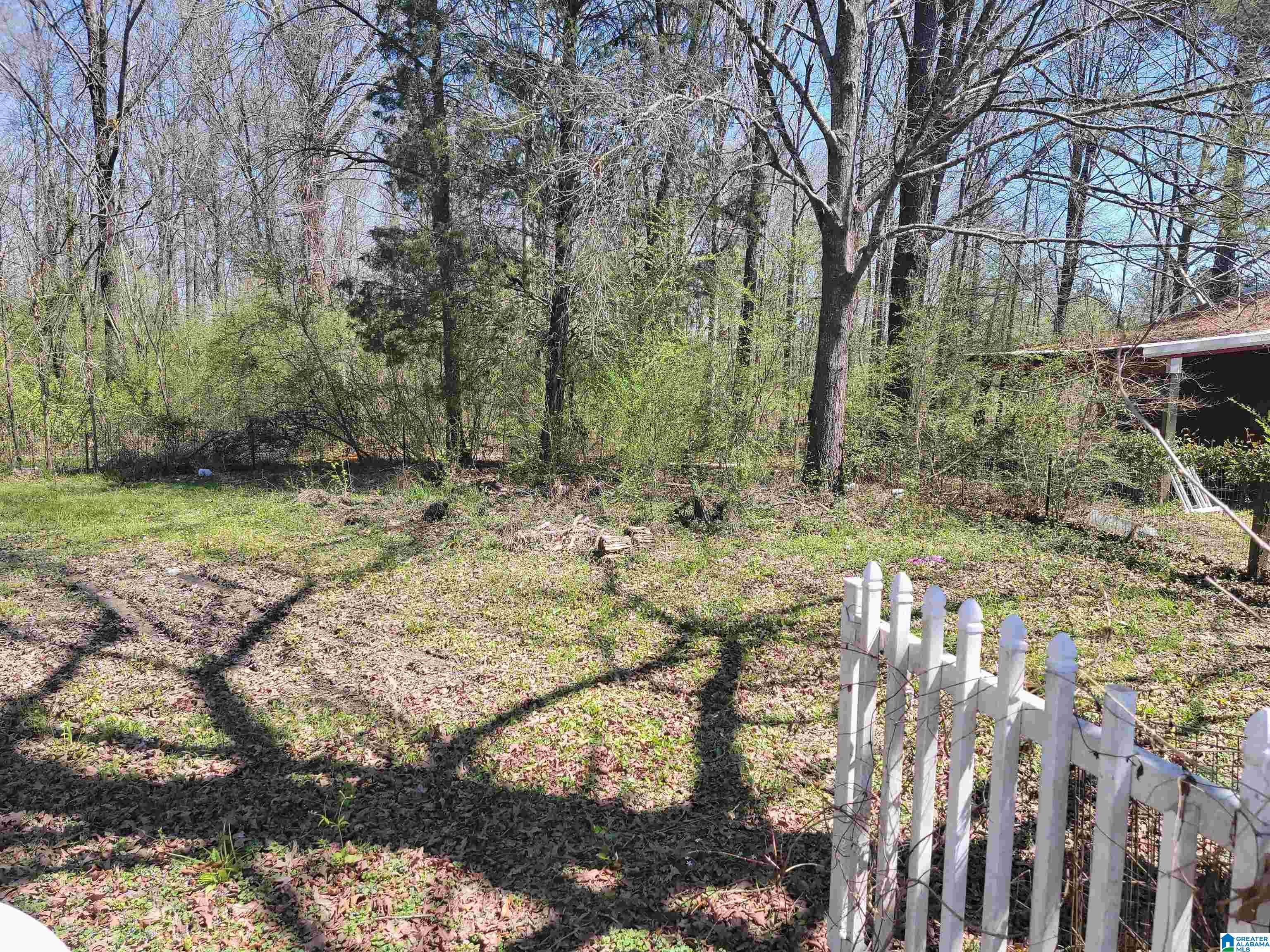 319 Jones Village Road Springville, AL 35146 - Photo 13 of 48