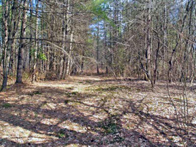 102 South Stagecoach Road Dover-Foxcroft, ME 04426 - Photo 31 of 35 Yard/Garden.
