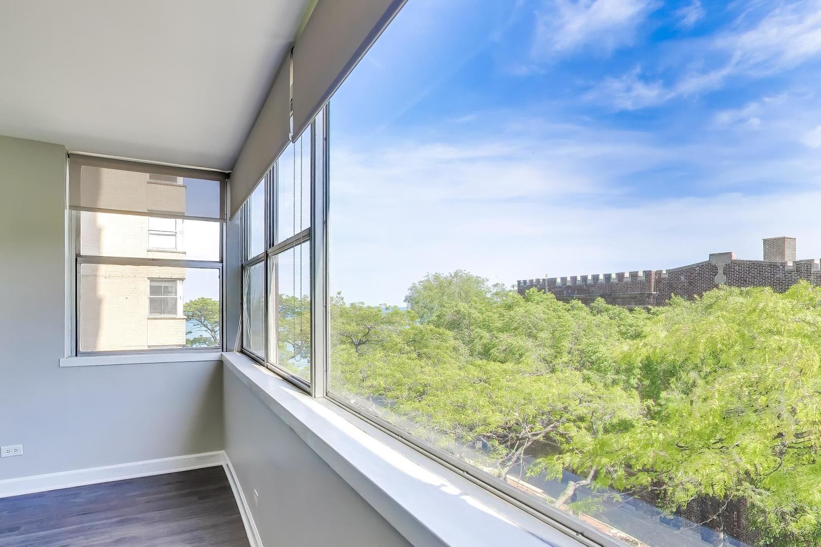 6301 North Sheridan Road, Unit 4G Chicago, IL 60660 - Photo 8 of 30