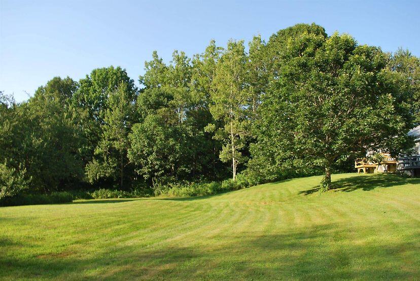 609 Wiscasset Road Boothbay, ME 04537 - Photo 3 of 24 Motel Backyard 1