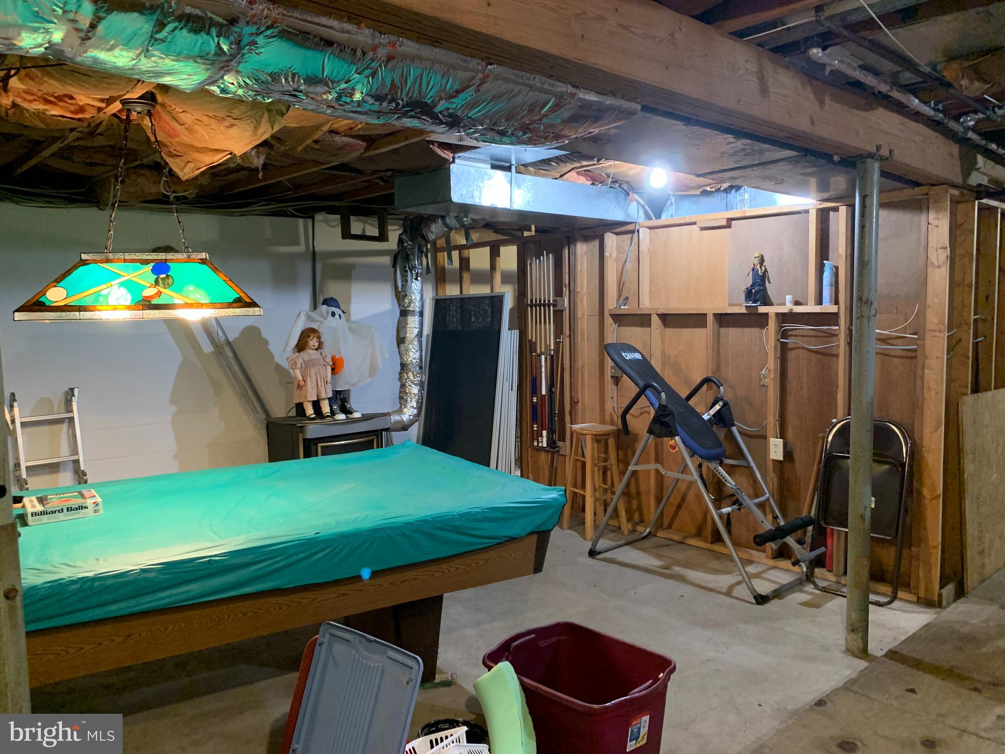 20636 Bent Willow Road Rohrersville, MD 21779 - Photo 67 of 79 BSMNT - Rm for exercise equip!