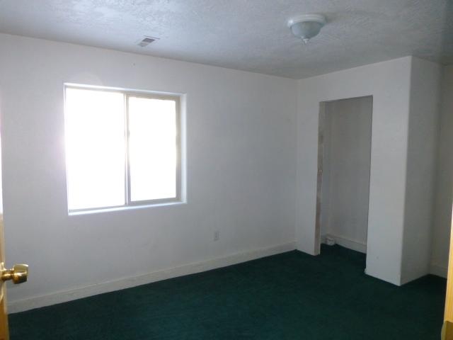 6702 Scotia Road Newport, WA 99156 - Photo 13 of 20