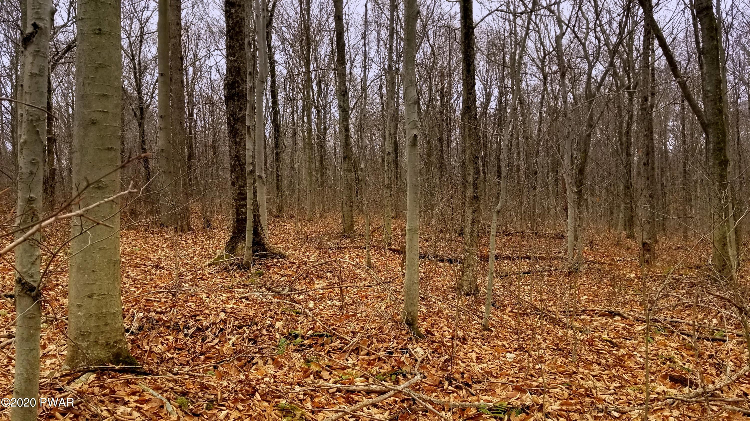 Lot 80 Stonegate Road Equinunk, PA 18417 - Photo 36 of 58
