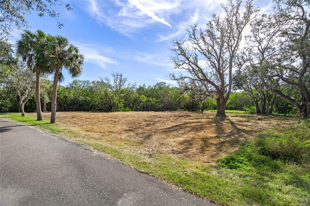 Irwin Street Safety Harbor, FL 34695 - Photo 3 of 14