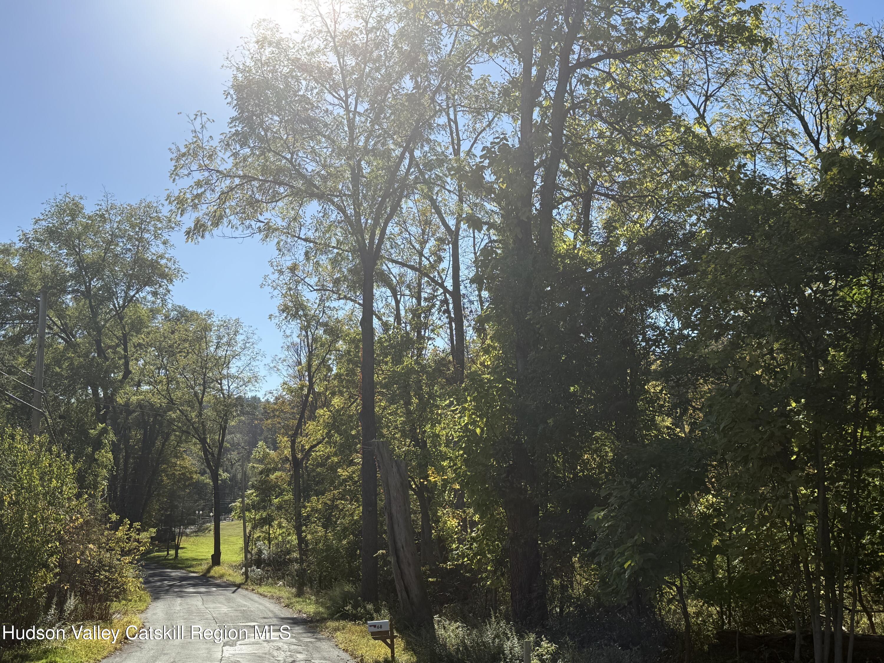 Tbd Tbd Country Club Road Ellenville, NY 12428 - Photo 15 of 16 a view of a forest with trees in the background
