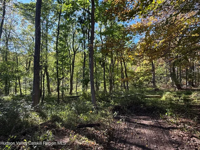 a big yard with lots of green space and trees