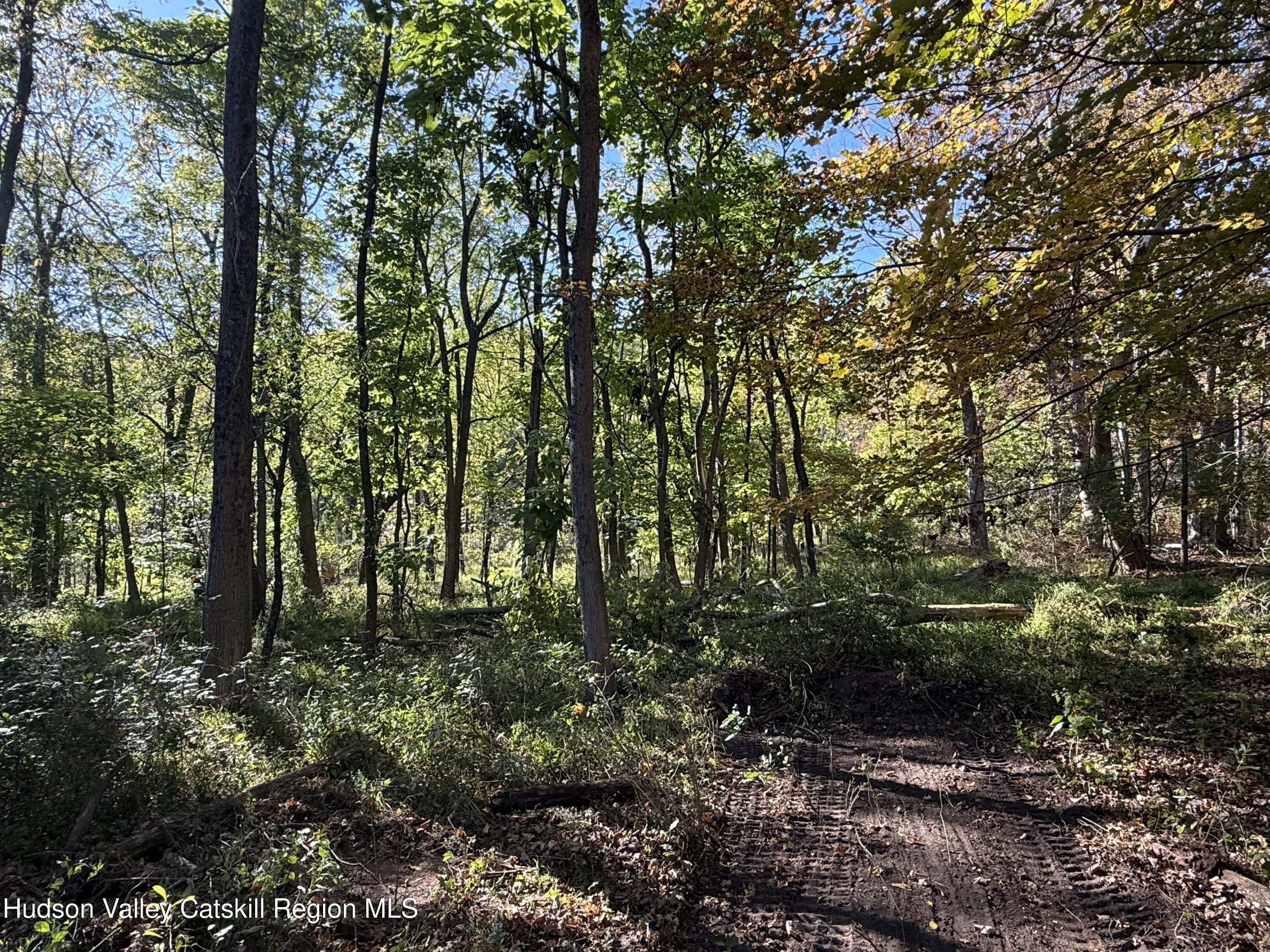 Tbd Tbd Country Club Road Ellenville, NY 12428 - Photo 4 of 16 a big yard with lots of green space and trees