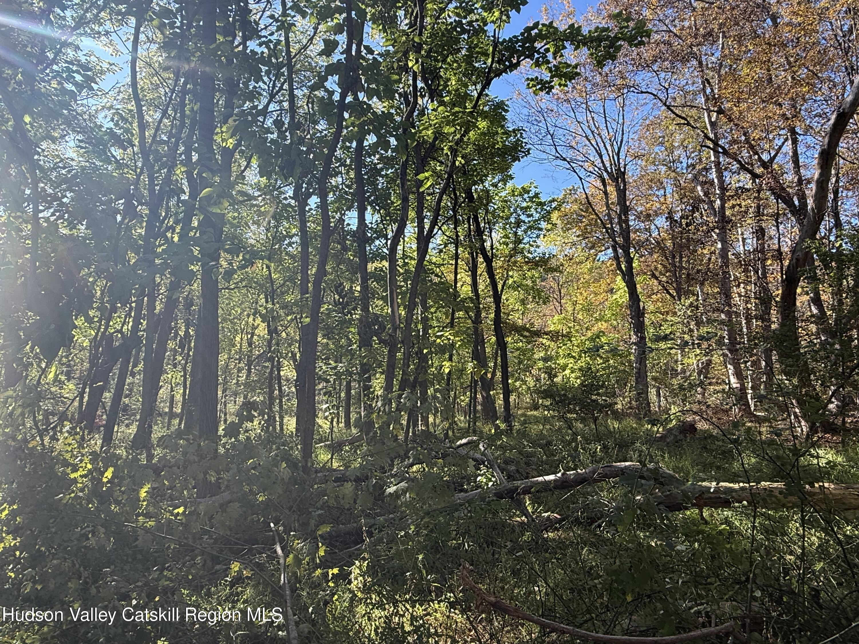 Tbd Tbd Country Club Road Ellenville, NY 12428 - Photo 5 of 16