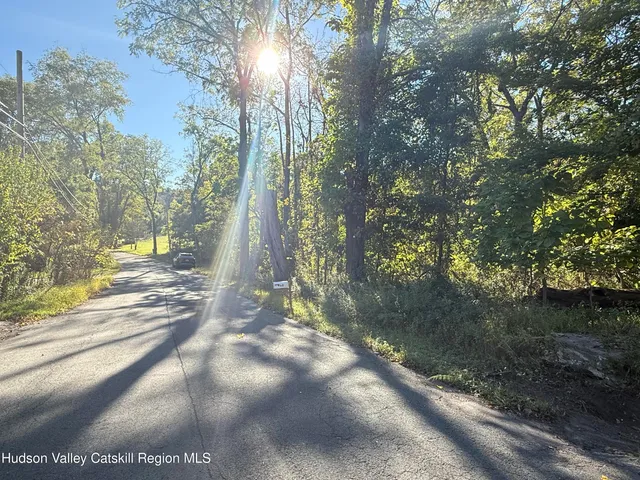 a view of a yard with plants and trees
