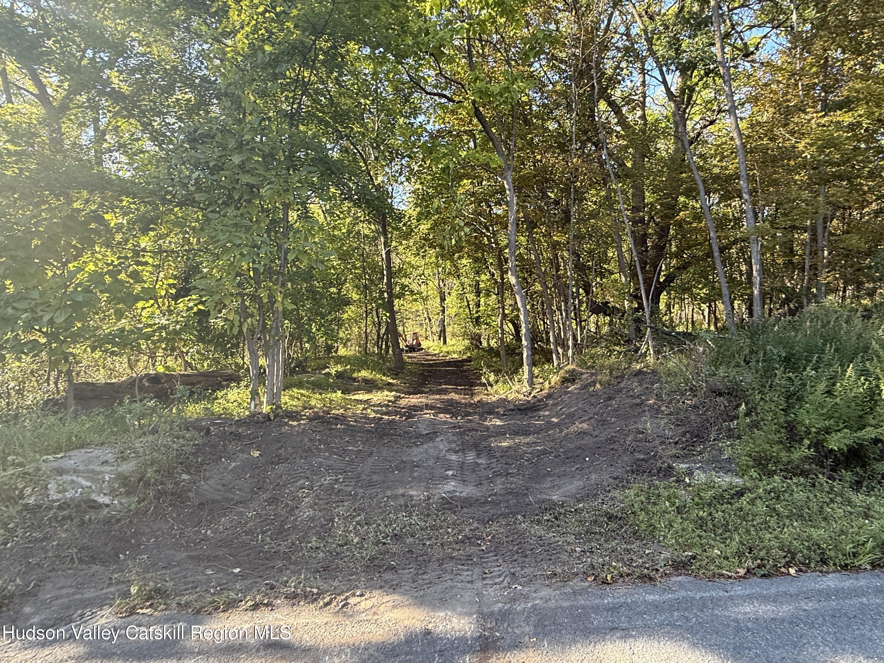 Tbd Tbd Country Club Road Ellenville, NY 12428 - Photo 7 of 16 a view of a yard with plants and trees
