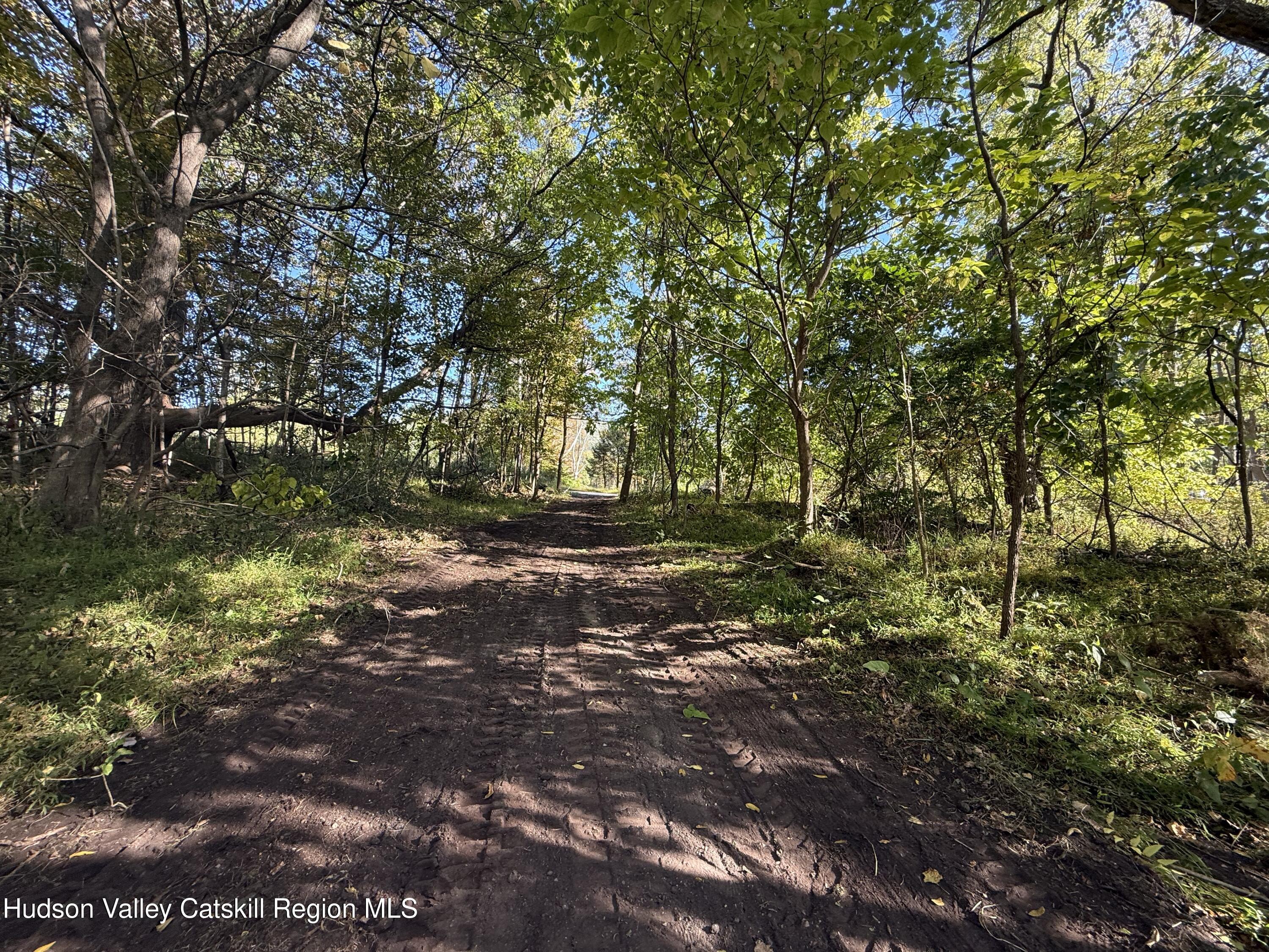 Tbd Tbd Country Club Road Ellenville, NY 12428 - Photo 8 of 16 a view of outdoor space and yard