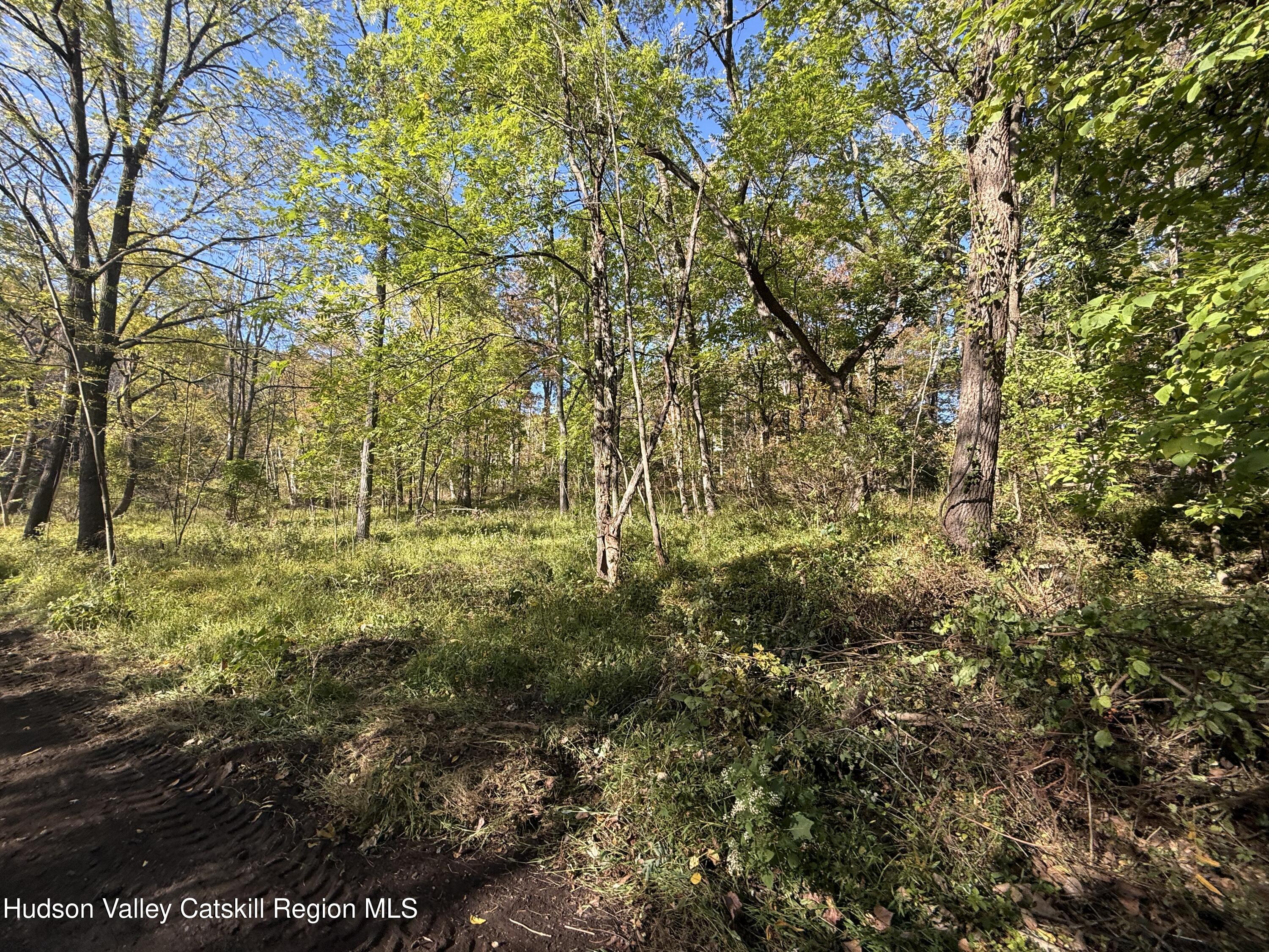 Tbd Tbd Country Club Road Ellenville, NY 12428 - Photo 9 of 16 a view of a yard