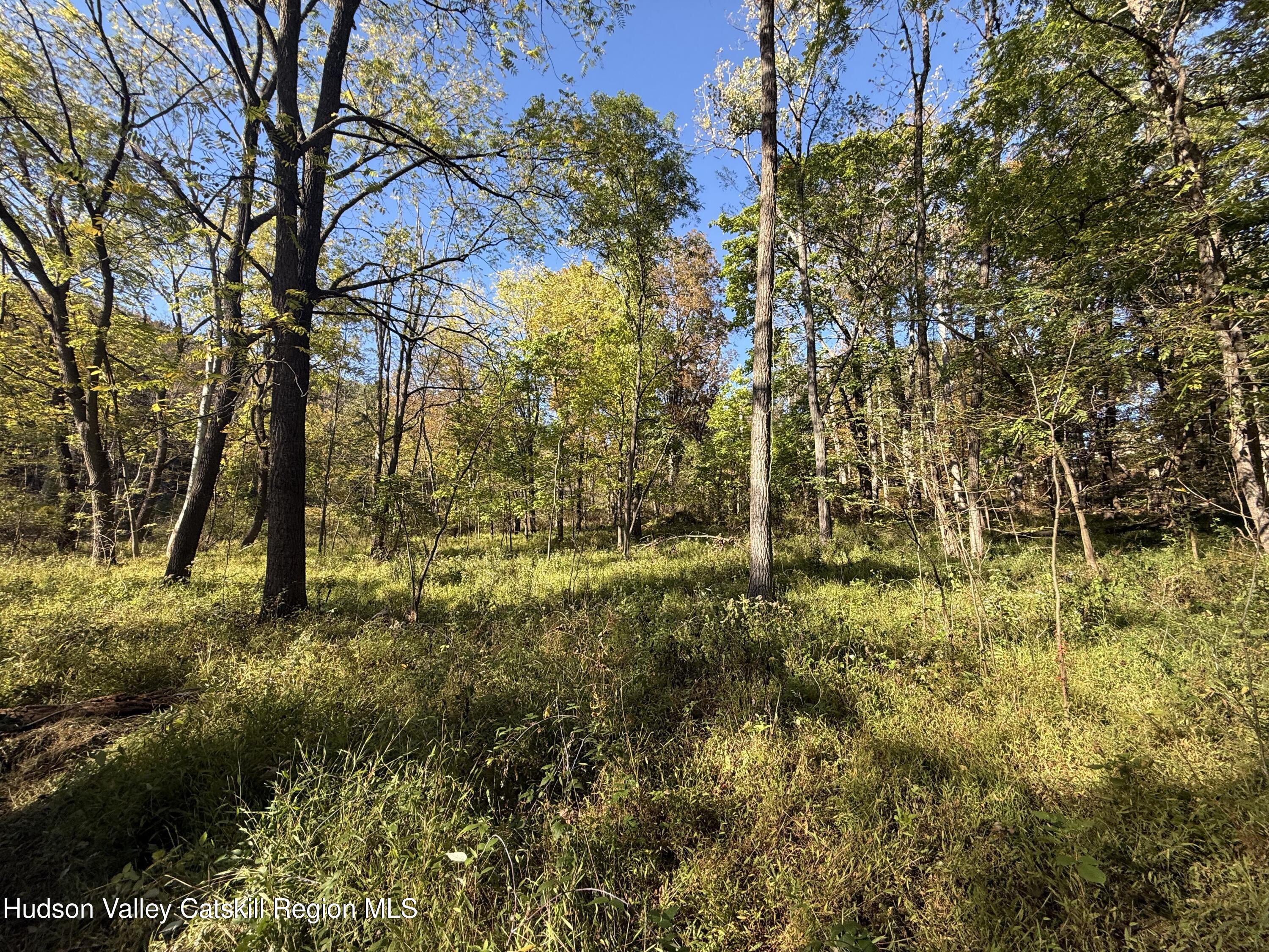 Tbd Tbd Country Club Road Ellenville, NY 12428 - Photo 10 of 16 a view of outdoor space