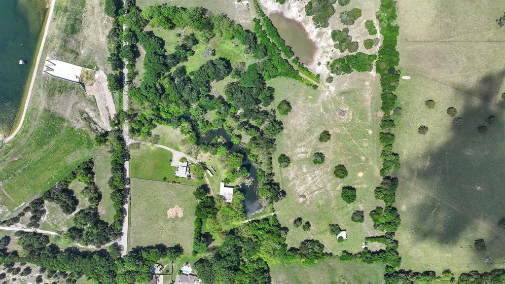 3231 Plainview Road Midlothian, TX 76065 - Photo 11 of 22 a close up of a plant in a garden