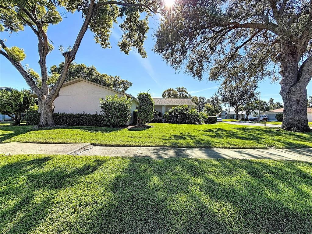 11220 Elderberry Drive Port Richey, FL 34668 - Photo 23 of 26