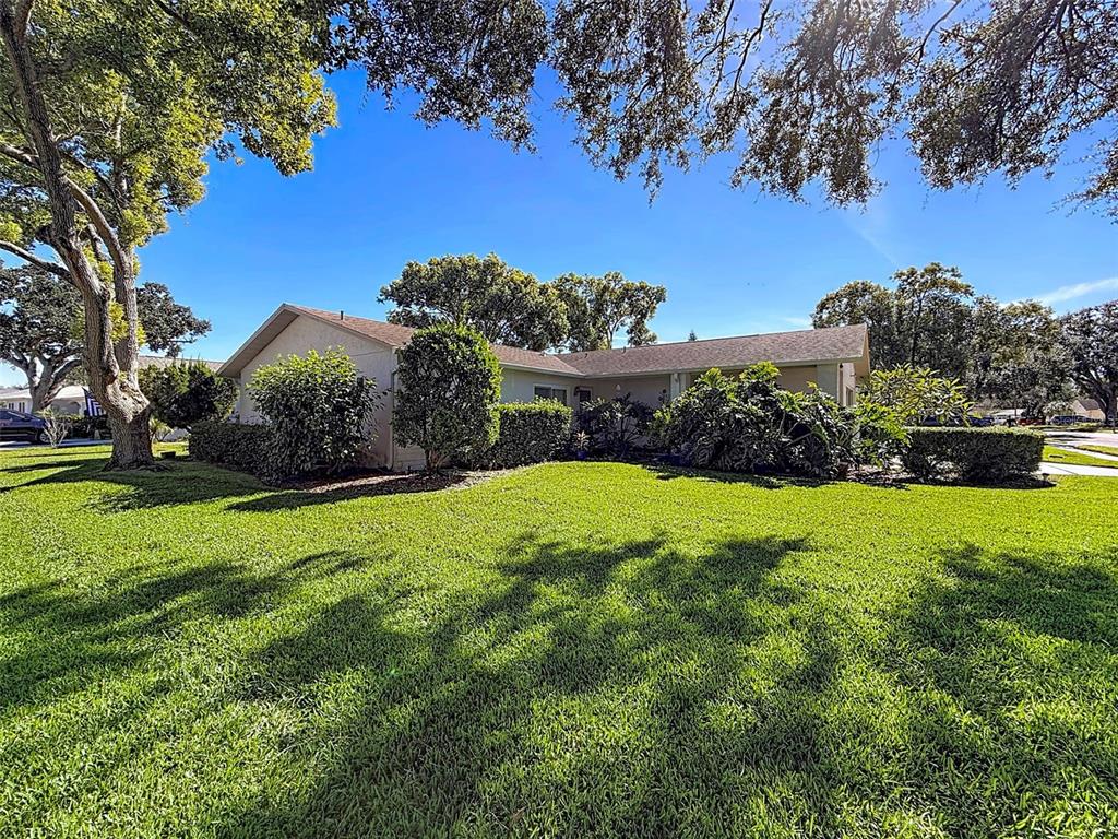 11220 Elderberry Drive Port Richey, FL 34668 - Photo 26 of 26