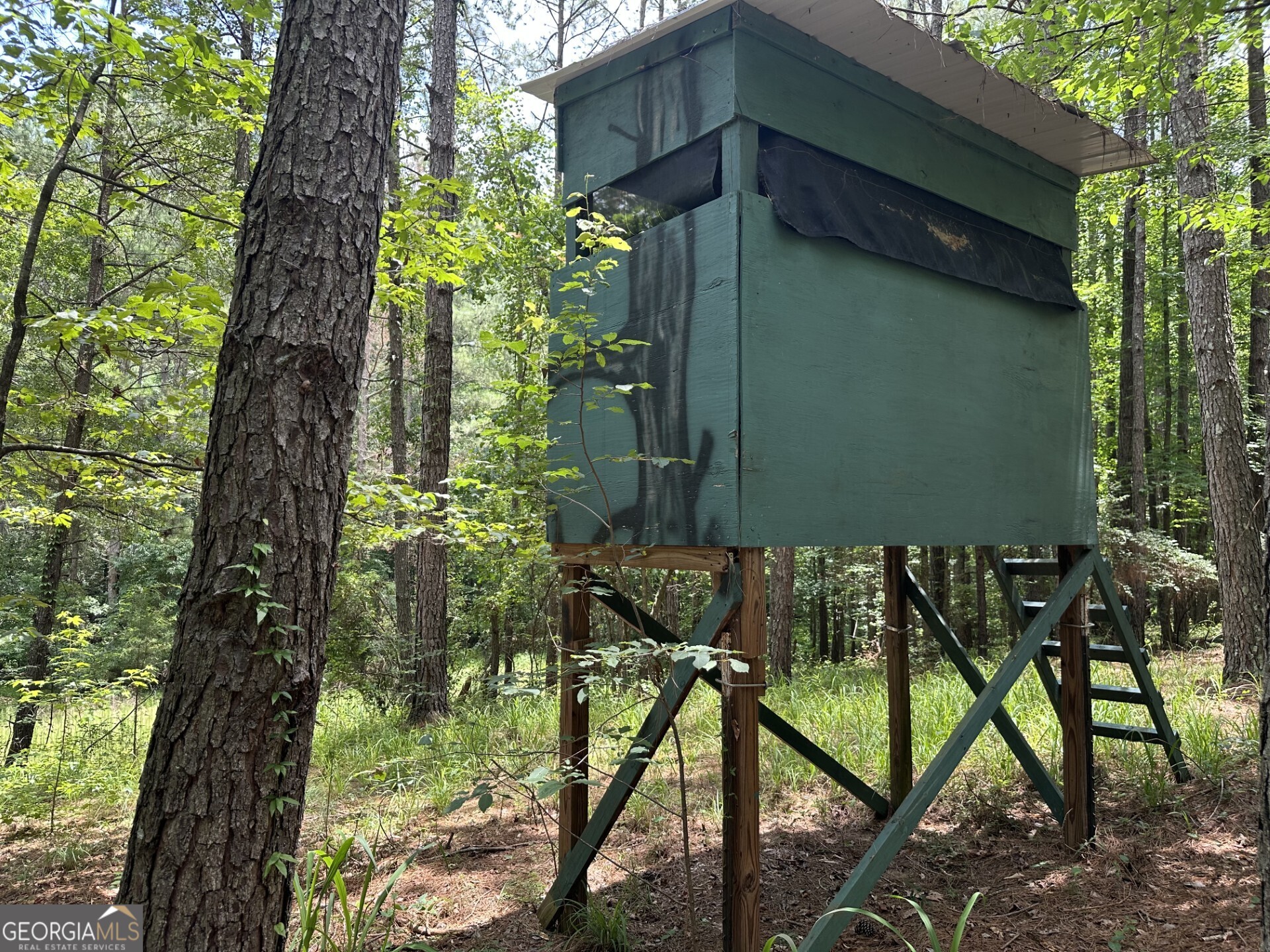 360 Happy Hollow Road Comer, GA 30629 - Photo 15 of 31