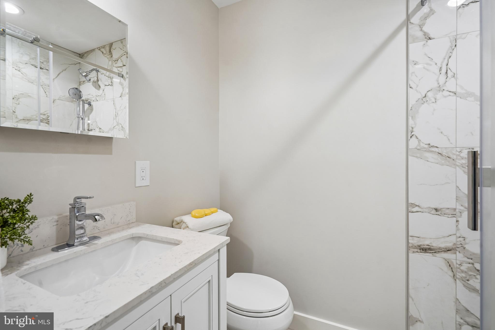 1309 Northgate Square Reston, VA 20190 - Photo 16 of 44 Primary Bathroom