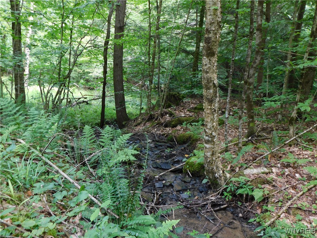 0 Thumb Road Bolivar, NY 14715 - Photo 11 of 17