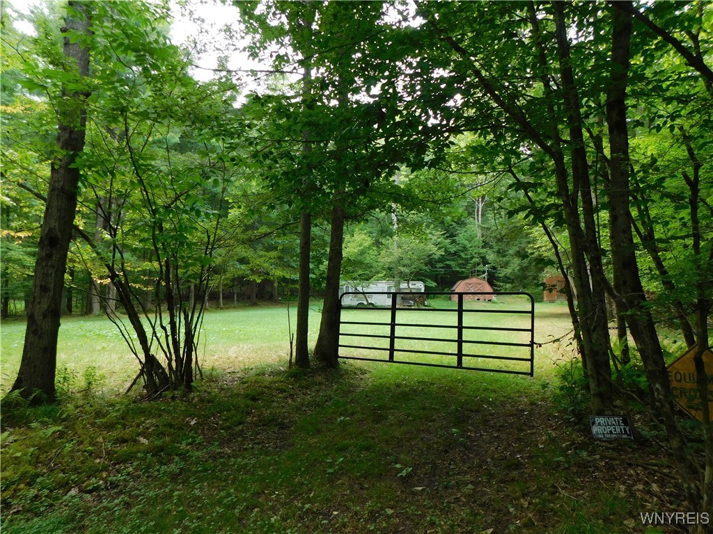 0 Thumb Road Bolivar, NY 14715 - Photo 12 of 17