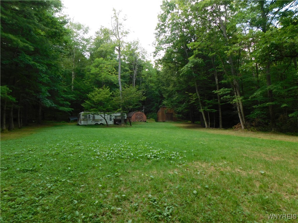 0 Thumb Road Bolivar, NY 14715 - Photo 13 of 17