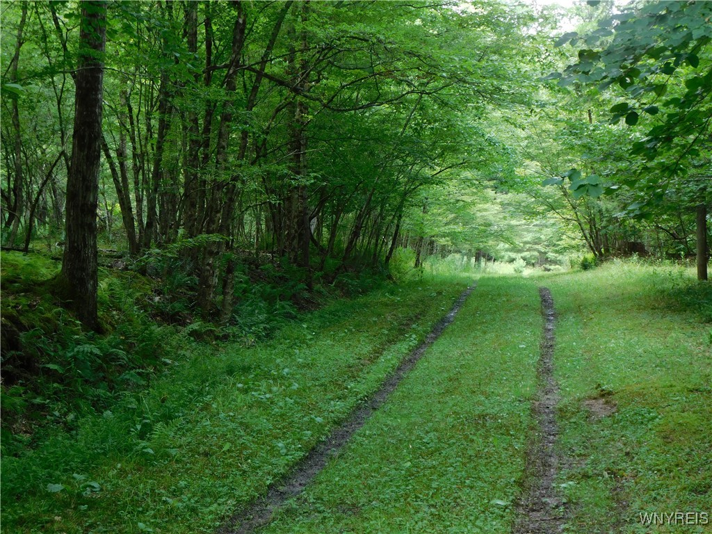 0 Thumb Road Bolivar, NY 14715 - Photo 15 of 17