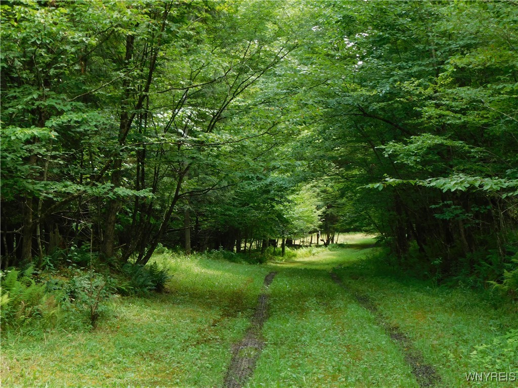 0 Thumb Road Bolivar, NY 14715 - Photo 16 of 17