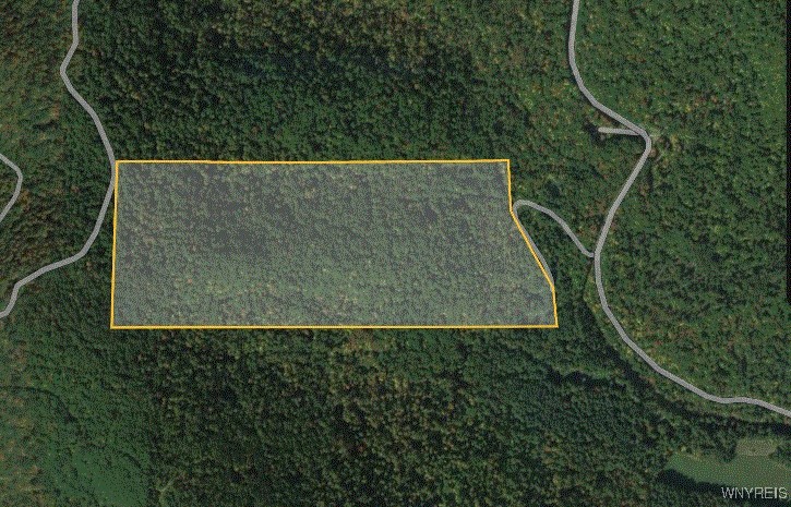 0 Thumb Road Bolivar, NY 14715 - Photo 17 of 17