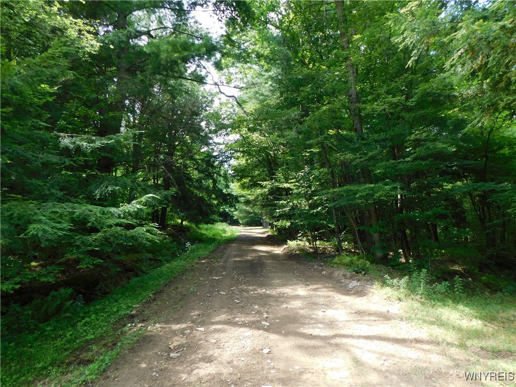 0 Thumb Road Bolivar, NY 14715 - Photo 2 of 17