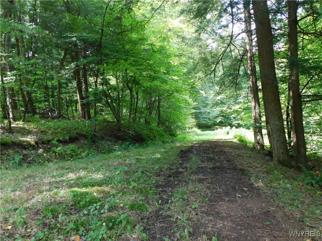 0 Thumb Road Bolivar, NY 14715 - Photo 3 of 17