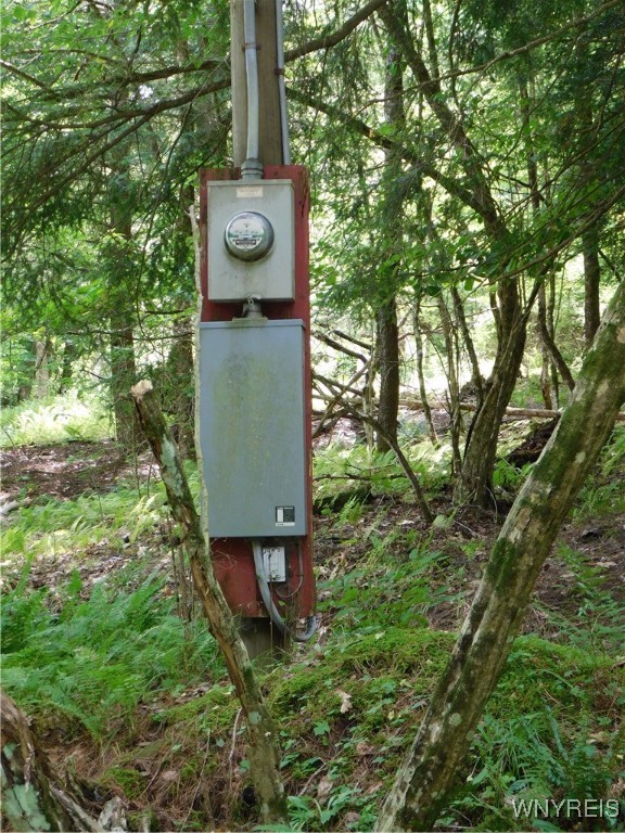 0 Thumb Road Bolivar, NY 14715 - Photo 4 of 17