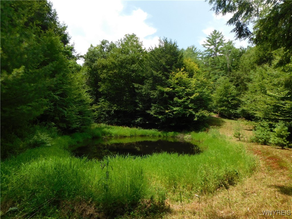 0 Thumb Road Bolivar, NY 14715 - Photo 5 of 17