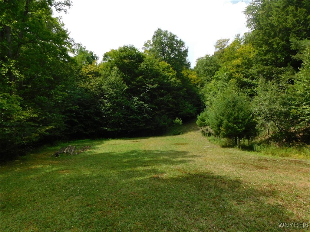 0 Thumb Road Bolivar, NY 14715 - Photo 6 of 17