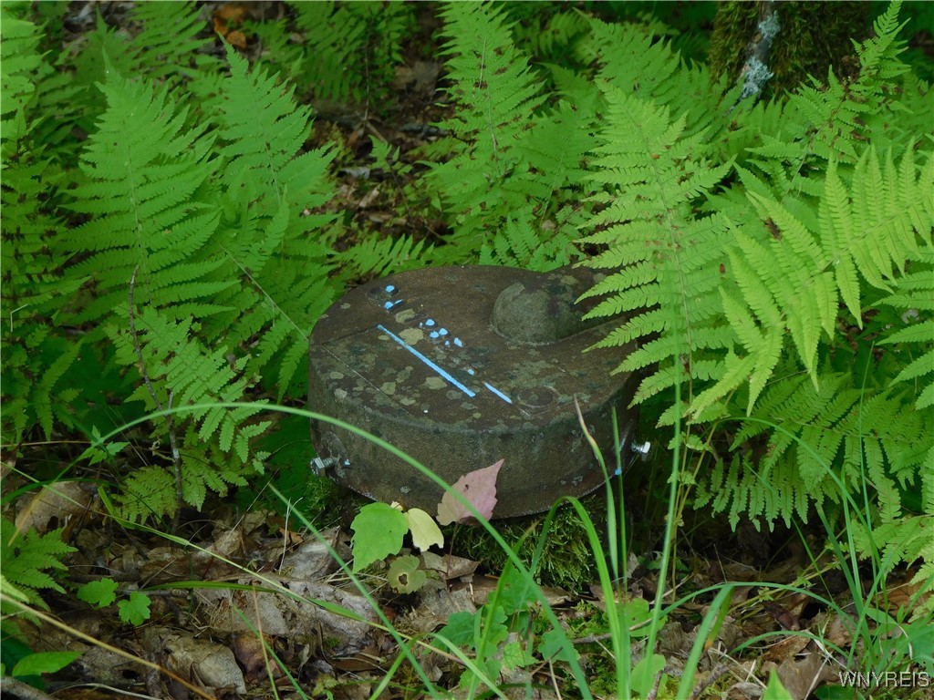 0 Thumb Road Bolivar, NY 14715 - Photo 7 of 17