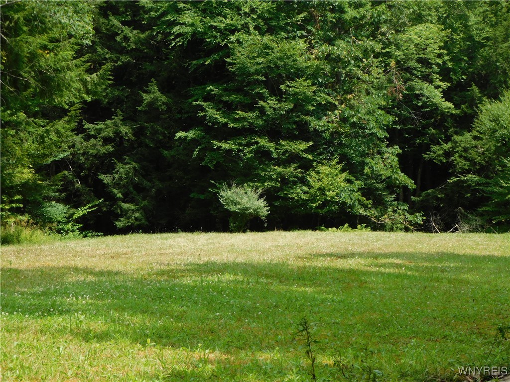 0 Thumb Road Bolivar, NY 14715 - Photo 8 of 17