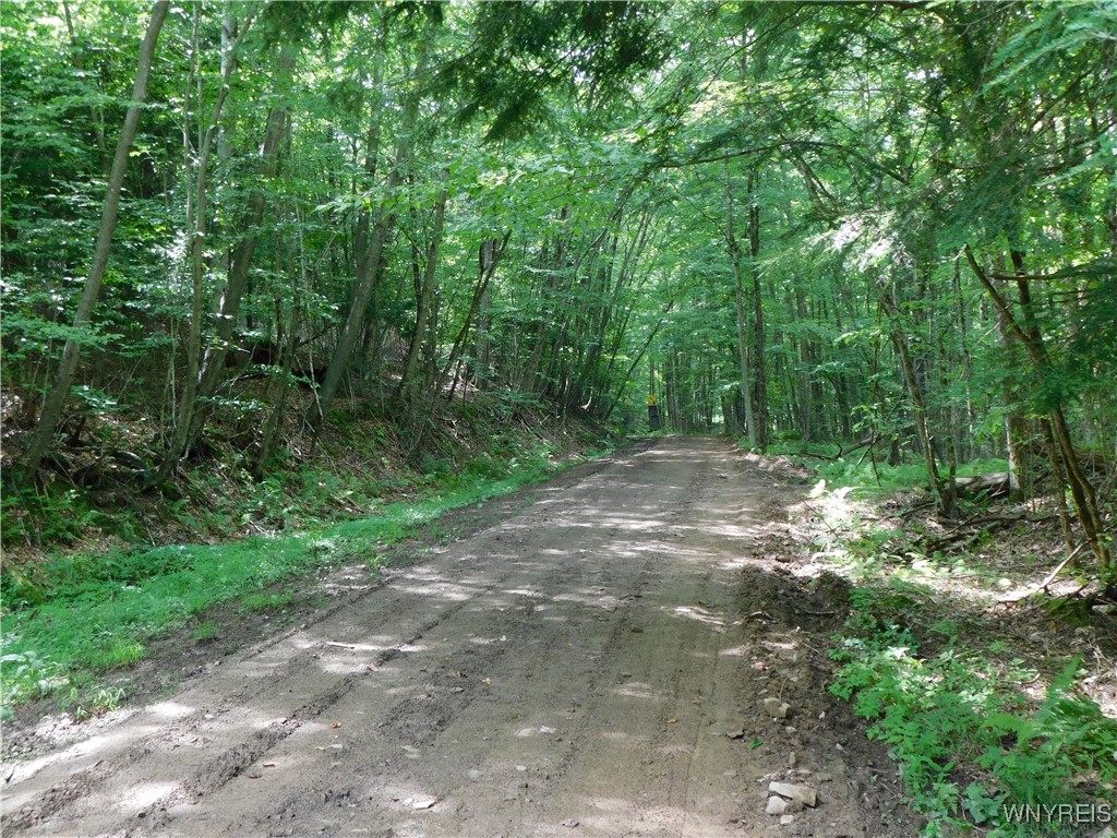 0 Thumb Road Bolivar, NY 14715 - Photo 9 of 17