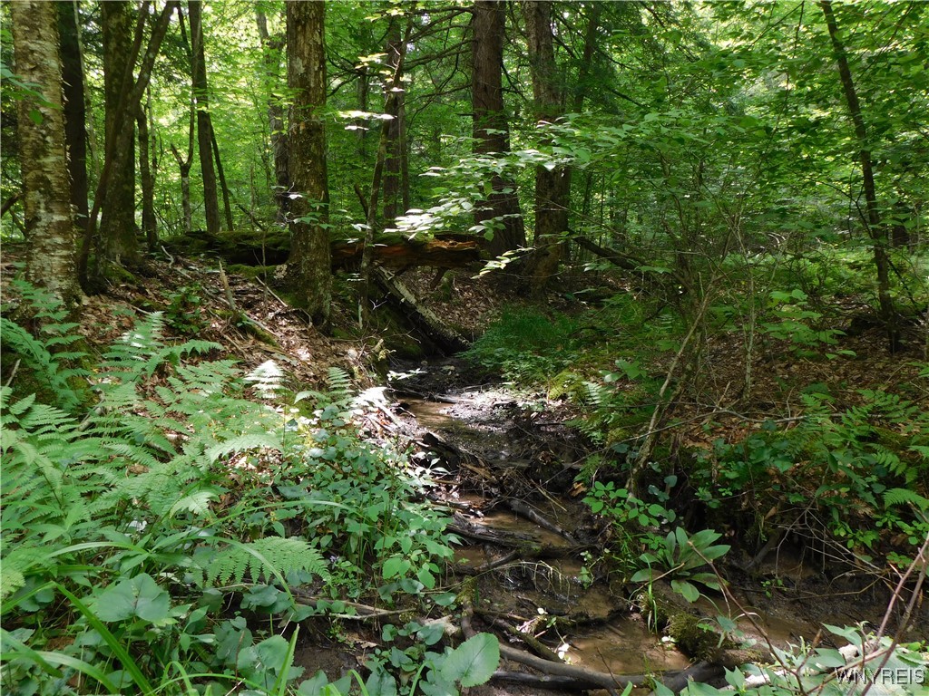 0 Thumb Road Bolivar, NY 14715 - Photo 10 of 17