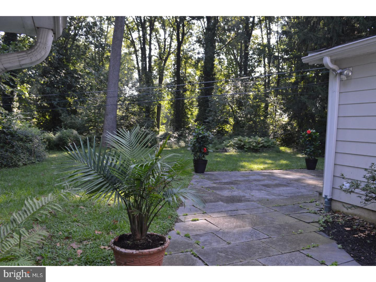 39 Green Valley Road Wallingford, PA 19086 - Photo 23 of 24 Back Yard