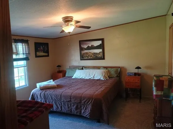 $229,900 | 46 Private Road 160-190, Alton, MO 65606