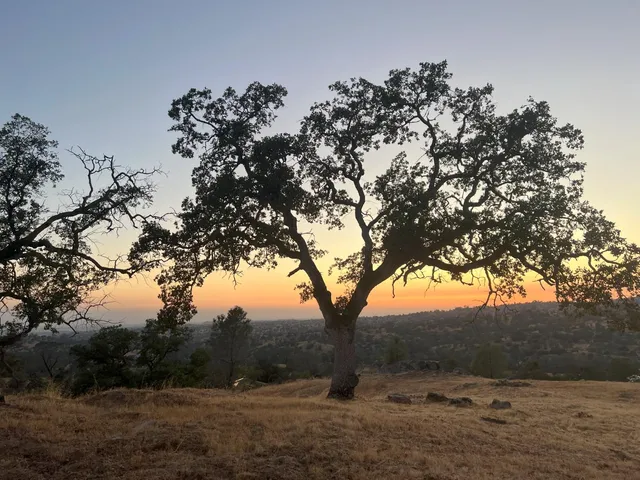 $69,000 | 1578 Lilley Mountain Drive, Coarsegold, CA 93614