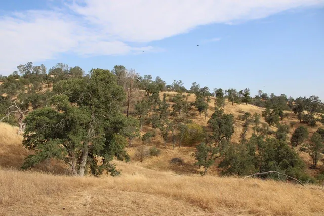 $69,000 | 1578 Lilley Mountain Drive, Coarsegold, CA 93614