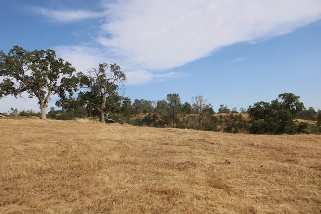 $69,000 | 1578 Lilley Mountain Drive, Coarsegold, CA 93614