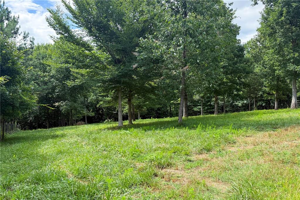 851 Lacy Road Canton, GA 30115 - Photo 52 of 63