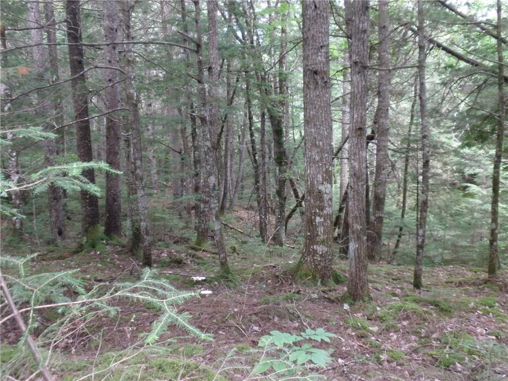 Off North Chester Road Lincoln, ME 04457 - Photo 15 of 15 Land