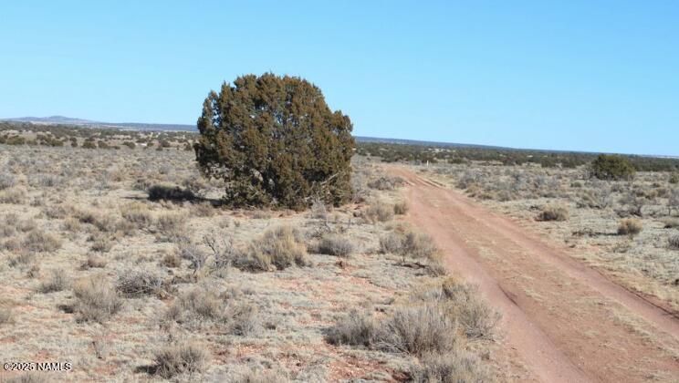 2515 Wingfield Road Williams, AZ 86046 - Photo 13 of 13