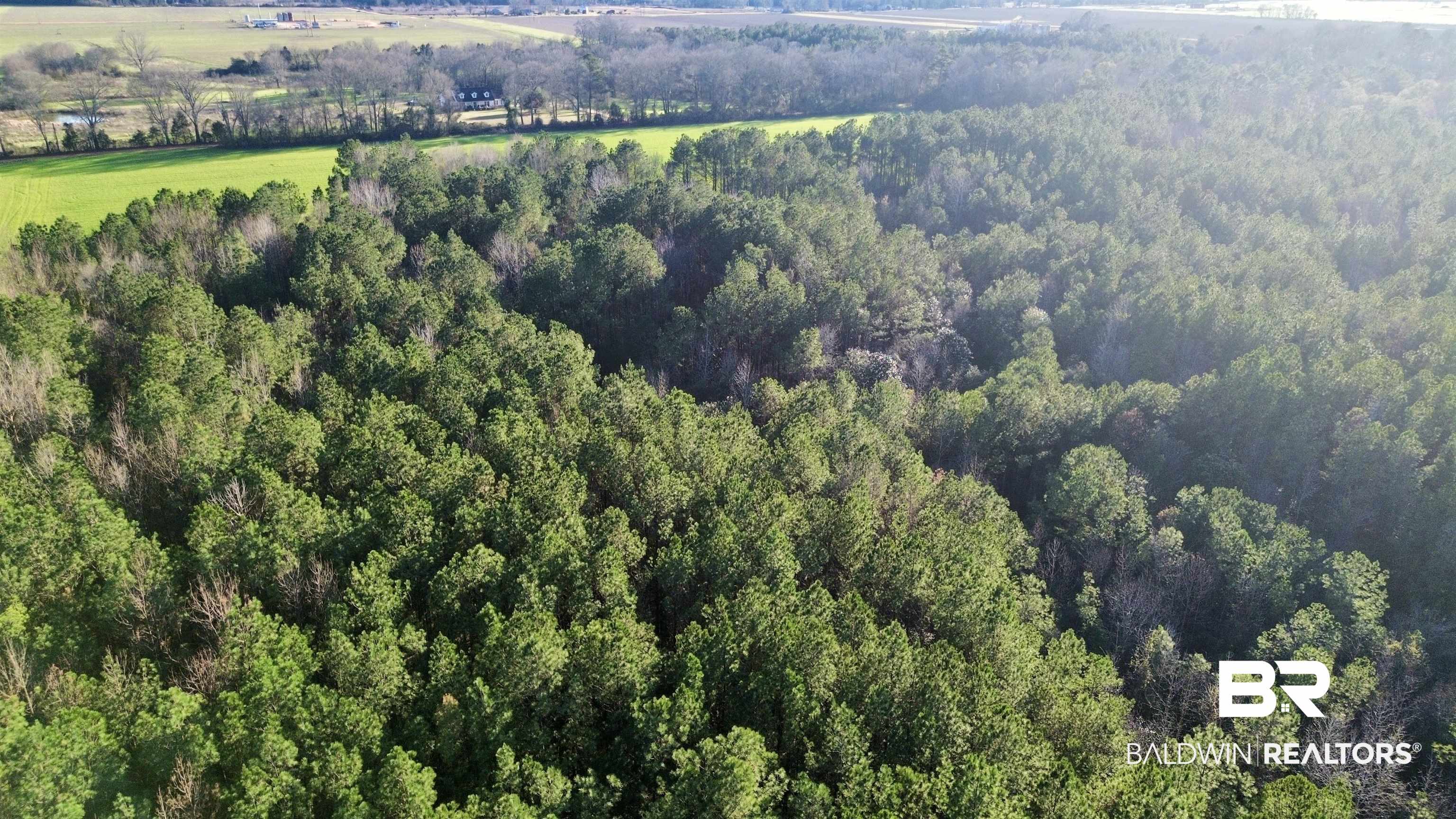 0 Ward Road Frisco City, AL 36445 - Photo 9 of 12 Bird's eye view with a wooded view