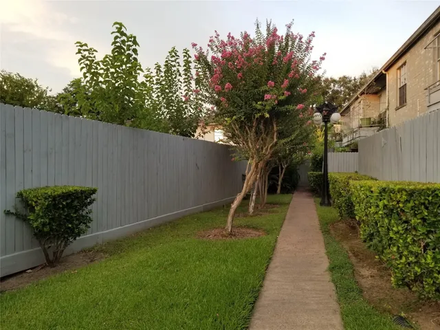 a view of a backyard with potted plants and a large tree