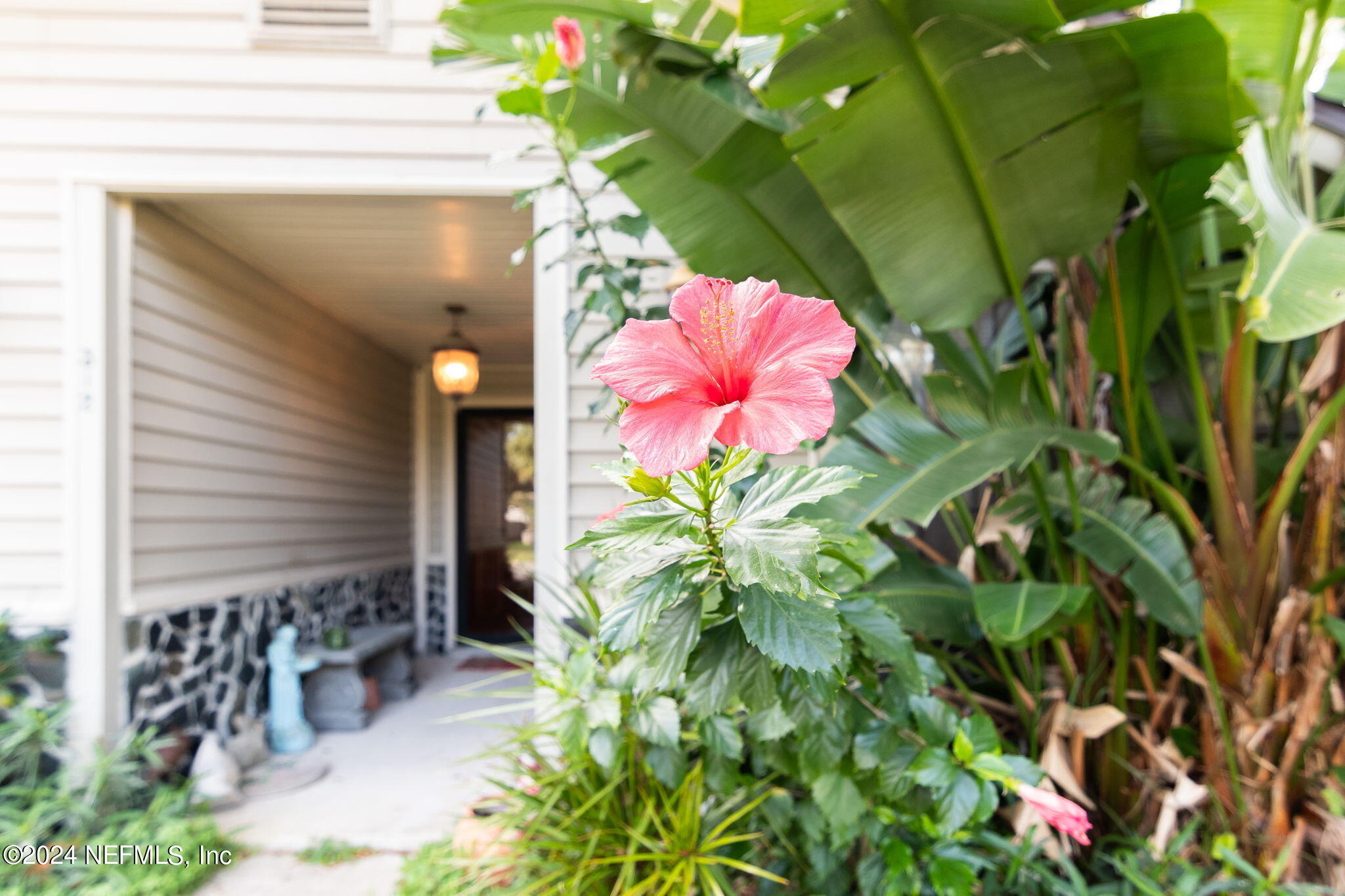312 Linden Road St. Augustine, FL 32086 - Photo 5 of 40 a potted plant sitting in front of a house