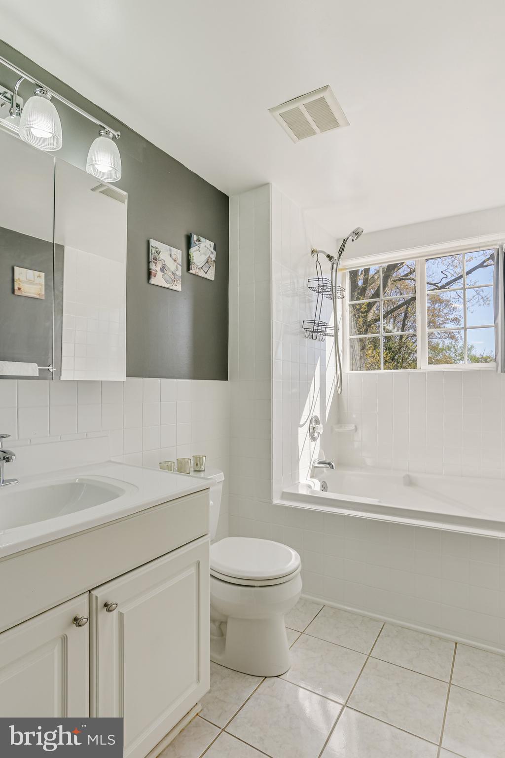 9939 Cottrell Terrace Silver Spring, MD 20903 - Photo 17 of 33 a bathroom with a sink a toilet and a mirror