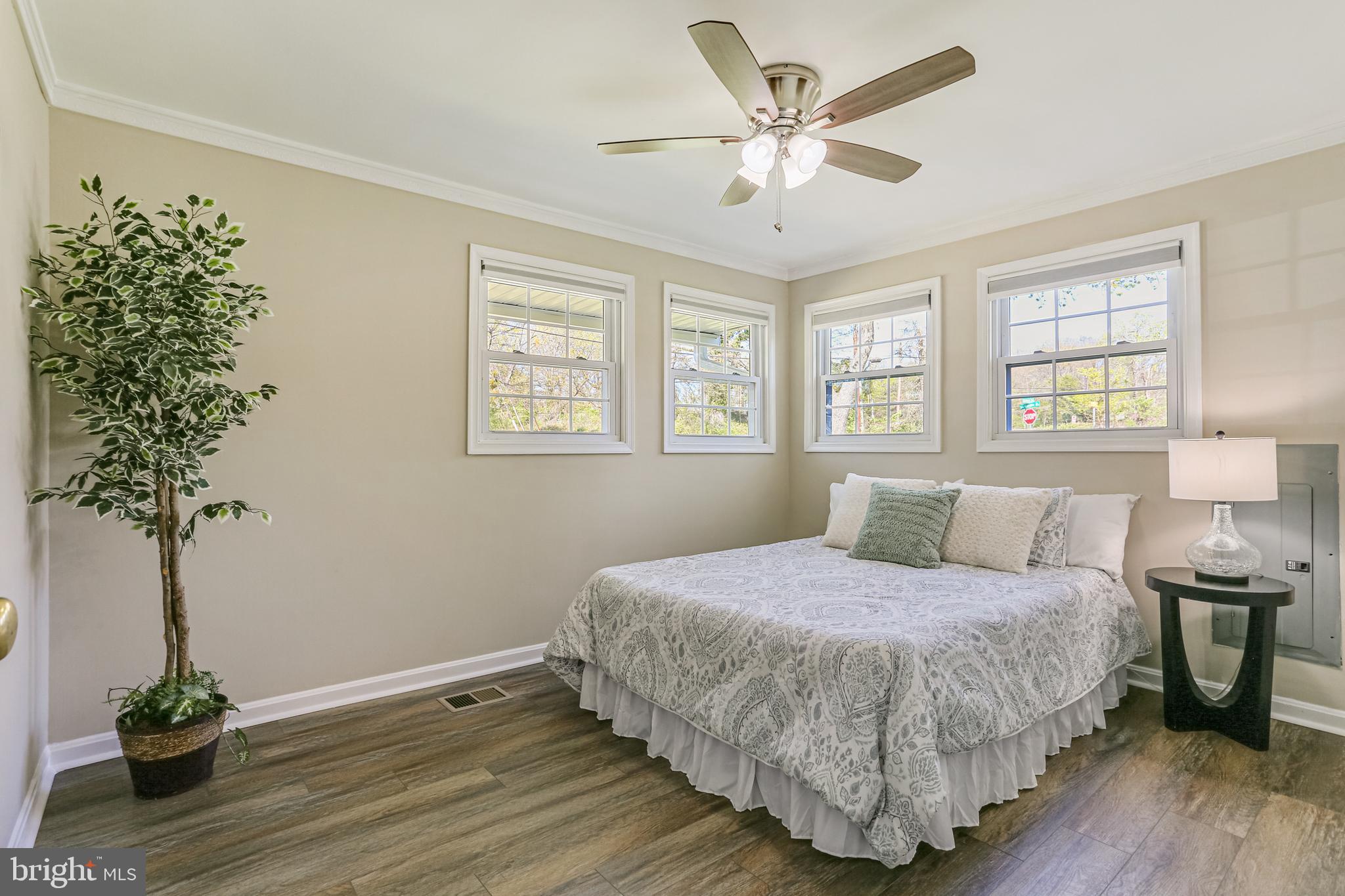 9939 Cottrell Terrace Silver Spring, MD 20903 - Photo 20 of 33 a bedroom with a beds and a potted plant